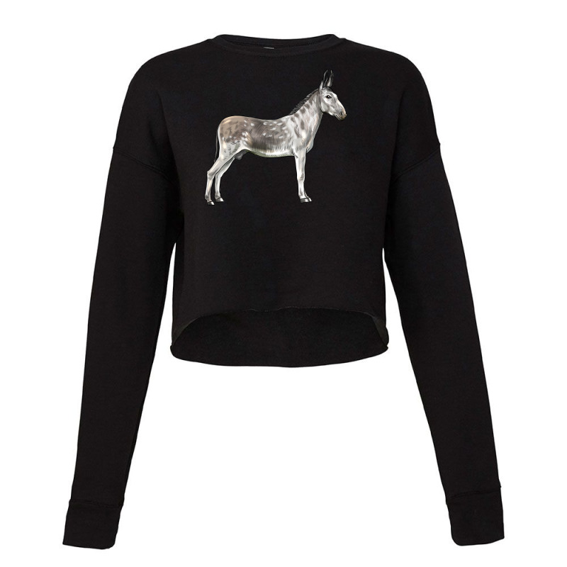 Andalusian Donkey Cropped Sweater | Artistshot