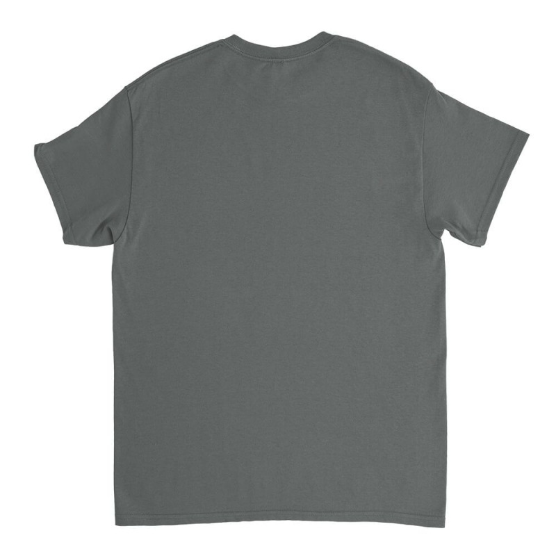 The Allman Brothers Classic T-shirt | Artistshot