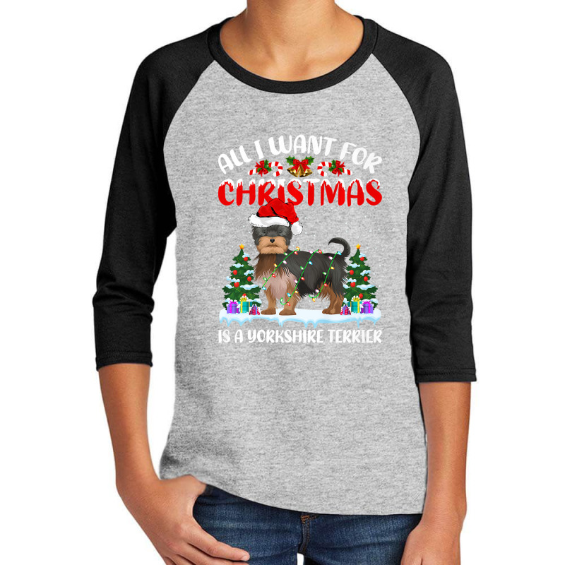 Funny Santa All I Want For Christmas Is A Yorkshire Terrier Premium T Youth 3/4 Sleeve by Adriana_Torquemada | Artistshot