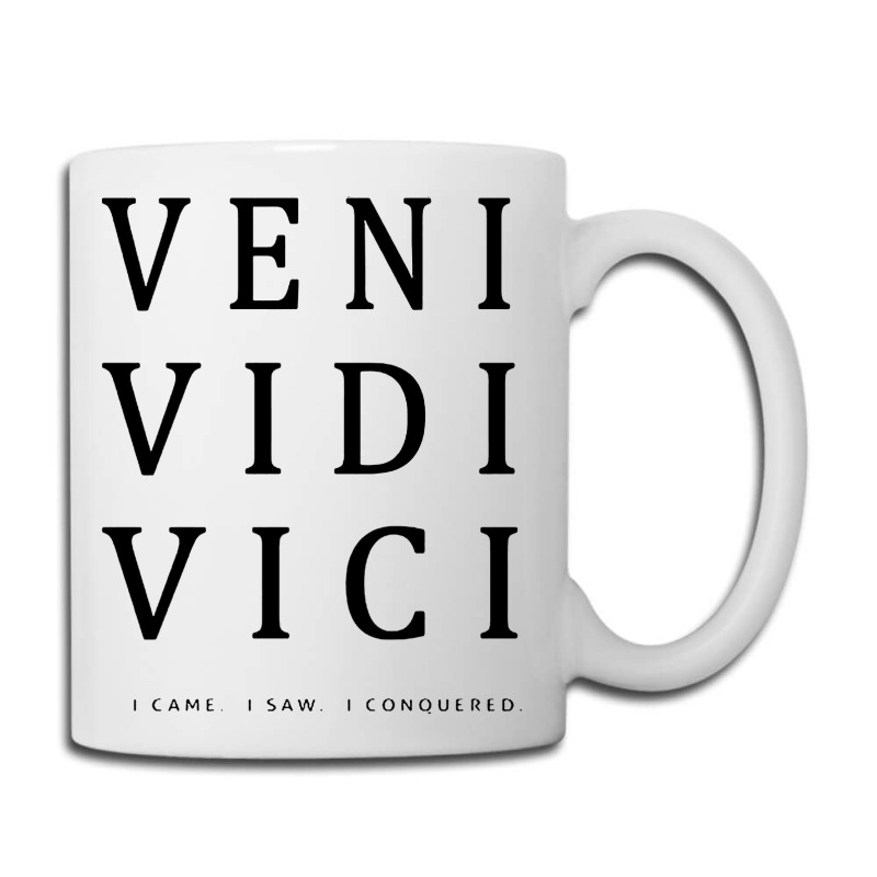 Veni, vidi, vici I came; I saw; I conquered | Sticker