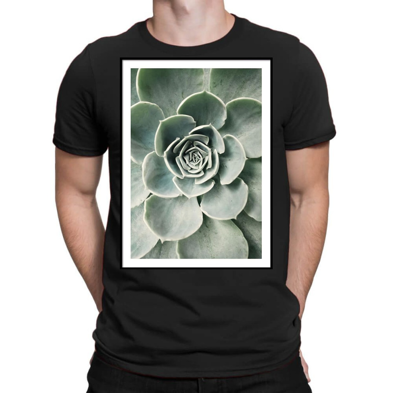 Cactus Flower  Market T-shirt | Artistshot