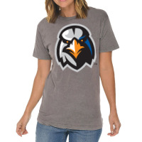 #ironbirds-sport Vintage T-shirt | Artistshot