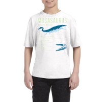 Mosasaurus T Shirt  Mosasaur Facts Jurassic Dinosaur Tshirt T Shirt Youth Tee | Artistshot