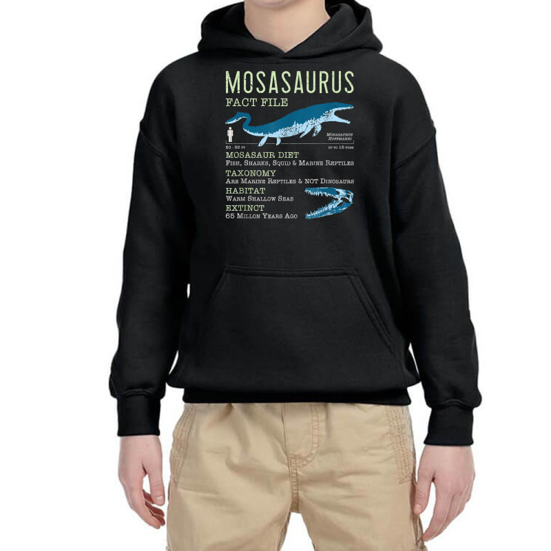 Mosasaurus T Shirt  Mosasaur Facts Jurassic Dinosaur Tshirt T Shirt Youth Hoodie | Artistshot