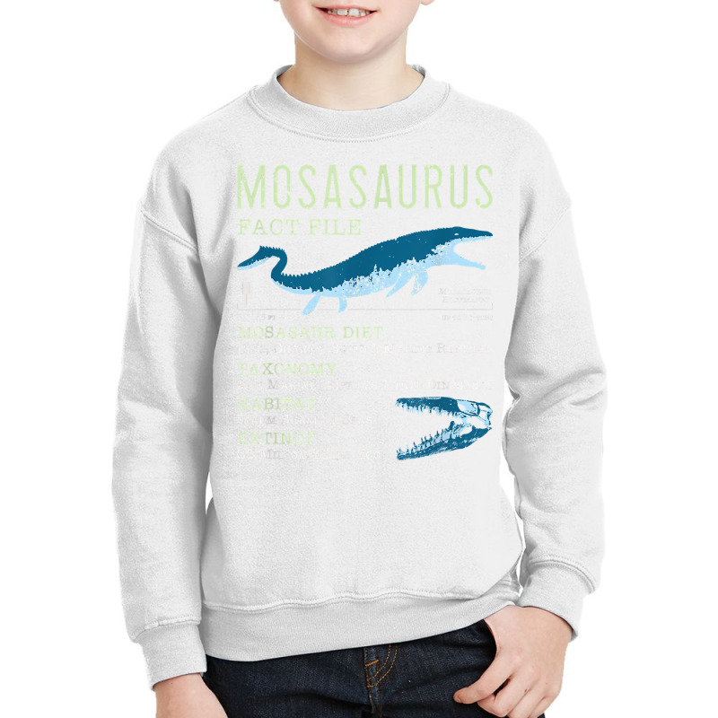 Mosasaurus T Shirt  Mosasaur Facts Jurassic Dinosaur Tshirt T Shirt Youth Sweatshirt | Artistshot