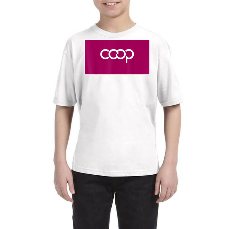 International Co Operative Alliance Organization Flag T Shirt Youth Tee | Artistshot