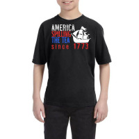 America Spilling Tea Since 1773 July 4 Boston Party Meme Premium T Shi Youth Tee | Artistshot