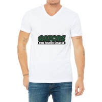 Pine Manor Gift V-neck Tee | Artistshot