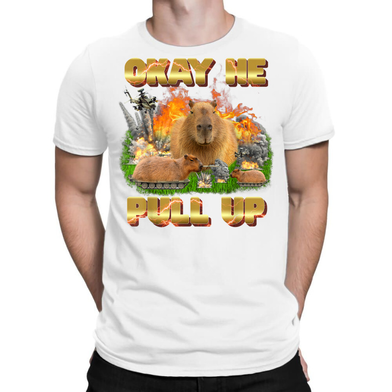 Okay He Pull Up Tee Capybara Fire Tee Capybara Lover Gift T Shirt T-shirt | Artistshot