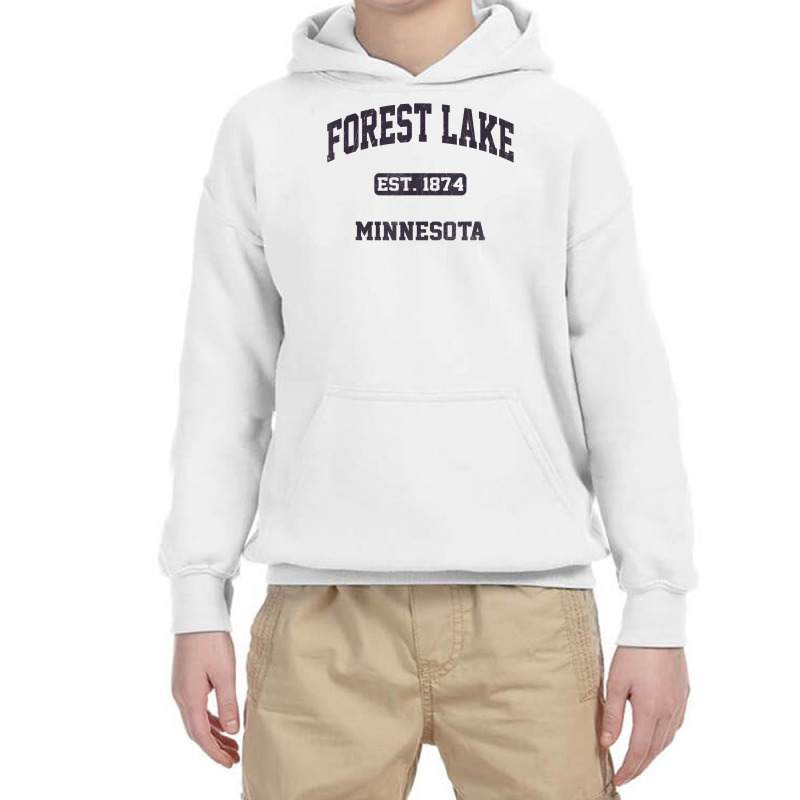 Forest Lake Minnesota Mn Vintage State Athletic Style T Shirt Youth Hoodie by bendlelobeltzoer | Artistshot