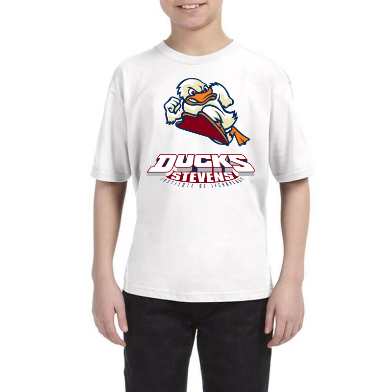 stevens institute of technology sweatshirt