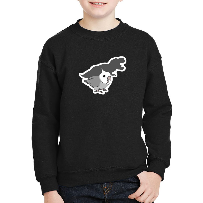 Crow Emo Pigeon Penguin Ice Chicken Pigeon Street Chicken Duck Pond Ch Youth Sweatshirt by anisaart4 | Artistshot