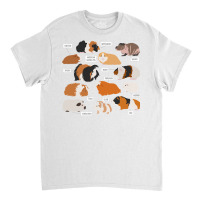 Guinea Pig Breeds Shirt Shirt Costume Clothing Accessories T Shirt Classic T-shirt | Artistshot