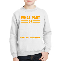 What Part Of Don T You Understand  Electronic Engineer Gift Youth Sweatshirt | Artistshot