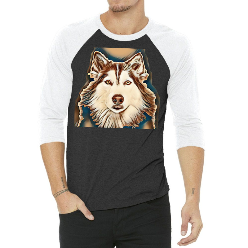 Siberian Husky Studio Shoot. 3/4 Sleeve Shirt by Kemnabi | Artistshot