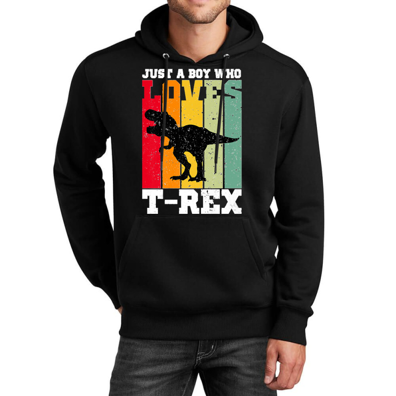 Just A Boy Who Loves T Rex Dinosaur Premium Unisex Hoodie | Artistshot