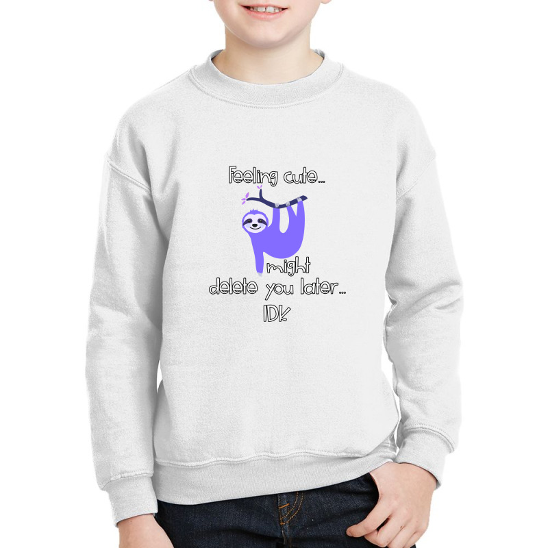 Feeling Cute Challenge Hanging Sloth Might Delete You Later Youth Sweatshirt by hidupmereka1 | Artistshot