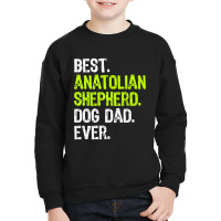 Anatolian Shepherd Dog Dad Fathers Day Dog Lovers T Shirt Youth Sweatshirt | Artistshot