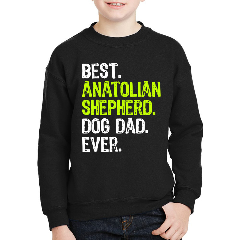 Anatolian Shepherd Dog Dad Fathers Day Dog Lovers T Shirt Youth Sweatshirt by sieuduong86 | Artistshot