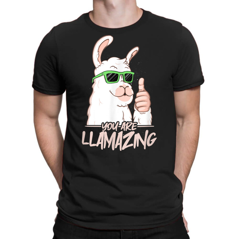 You Are Llamazing   Birthday Party Cool Alpaca Hipster Drips T Shirt T-shirt | Artistshot