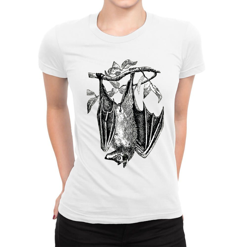 Classic Film  Fruit Bat Funny Gift Ladies Fitted T-Shirt by AlisonArtists | Artistshot