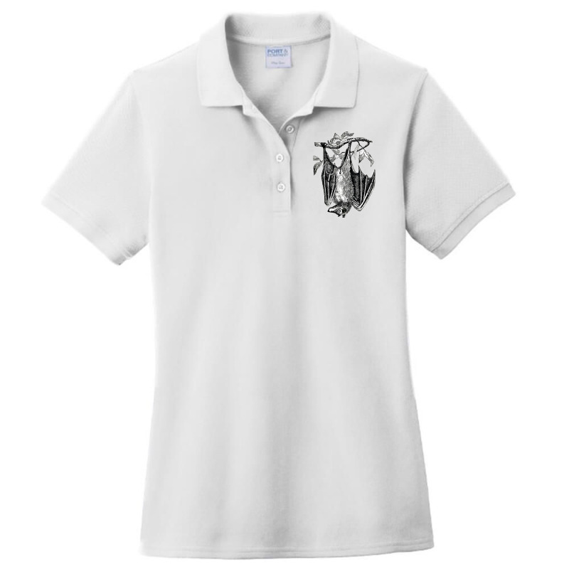 Classic Film  Fruit Bat Funny Gift Ladies Polo Shirt by AlisonArtists | Artistshot