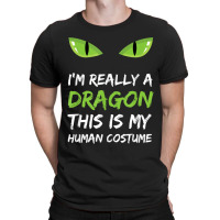 I'm Really A Dragon This Is My Human Costume T Shirt Cute Design Chara T-shirt | Artistshot