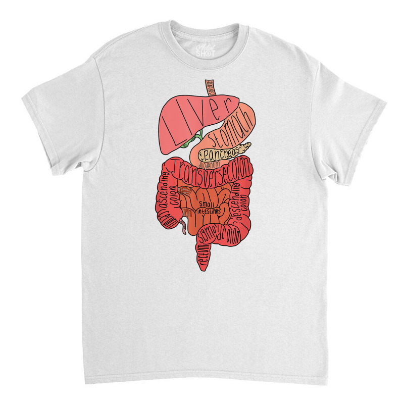 Labeled Digestive Tract T Shirt Classic T-shirt by pickengtwrentv | Artistshot