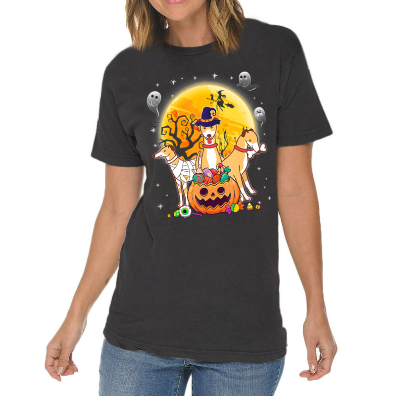 Whippets Dog Mummy Witch Moon Ghosts Happy Halloween Day 119 Vintage T-shirt | Artistshot