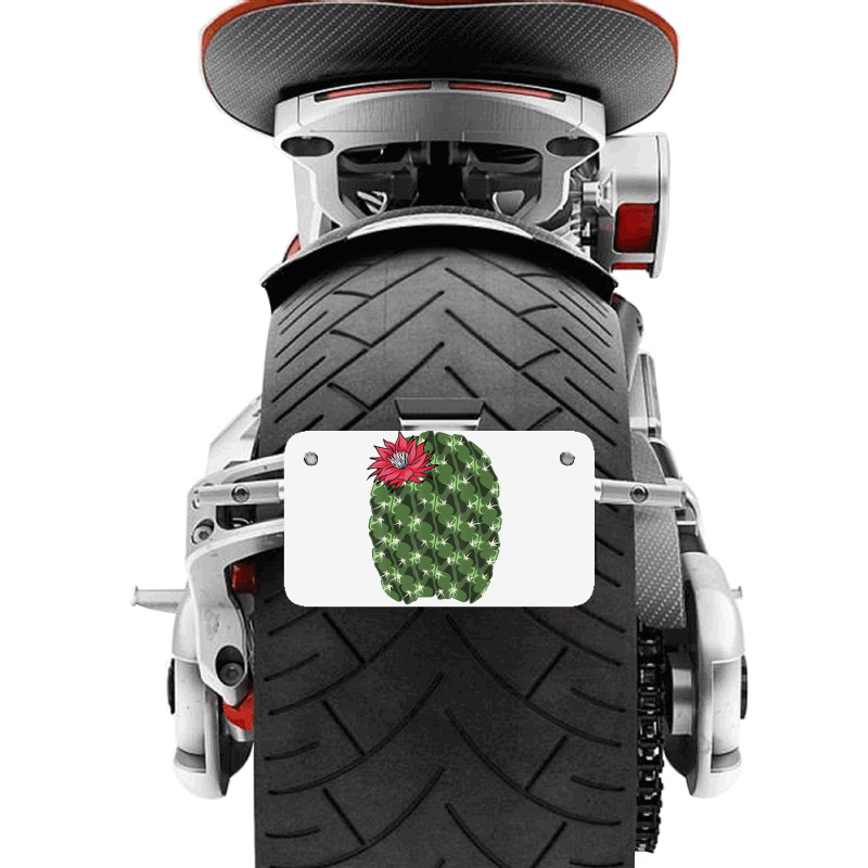 Cool Cactus Halloween Costume Lover Lazy Diy Motorcycle License Plate | Artistshot