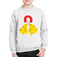 Chicks With Magnet Funny Chick Magnet T Shirt Youth Sweatshirt | Artistshot