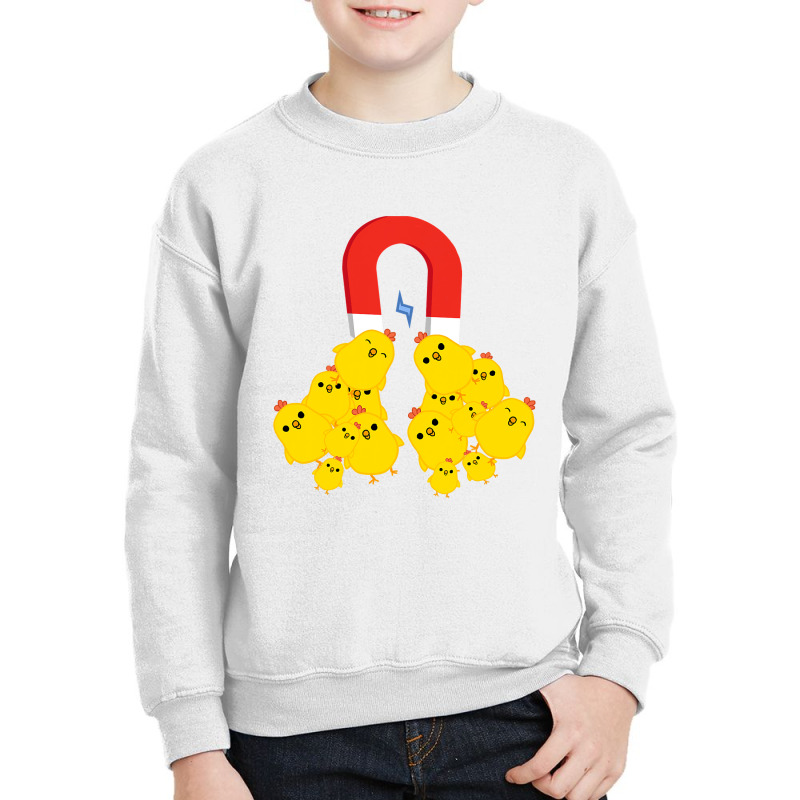 Chicks With Magnet Funny Chick Magnet T Shirt Youth Sweatshirt by TimothyMears89 | Artistshot